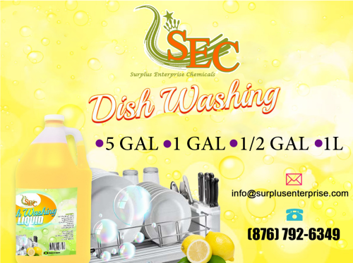 Dishwashing Liquid